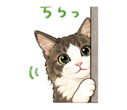 840246701