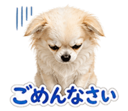 840246921