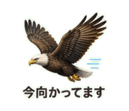 840247030