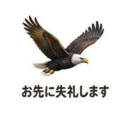 840247036
