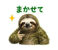840247215
