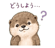 840247445
