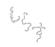 840247947