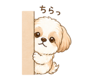 840247981