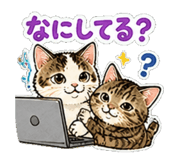840248066