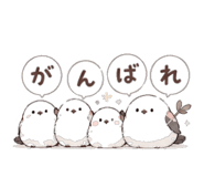840249291
