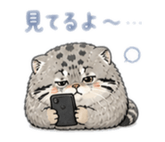 840249450