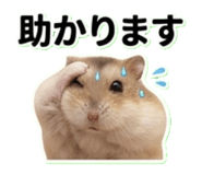 840249489