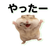 840249494