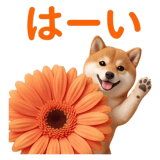 840249975