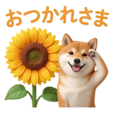 840249981