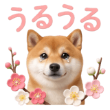 840249998