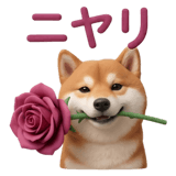 840250005