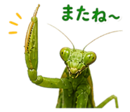 840250814