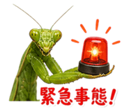 840250820