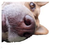 840251356