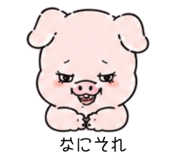 840251443