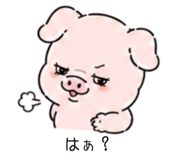 840251455