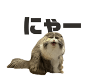 840251908