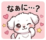 840252557