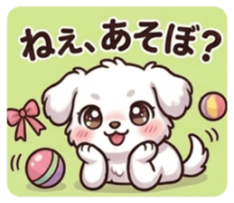 840252558