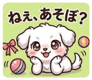 840252558