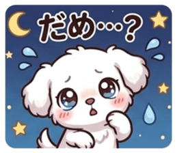 840252563