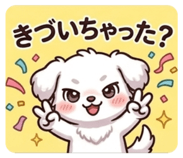 840252565
