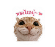 840293192