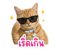 840294361