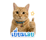 840294370