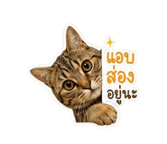 840295055
