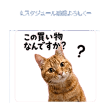 840295381