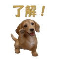 840297620