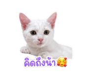 840297669