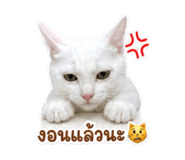 840297672