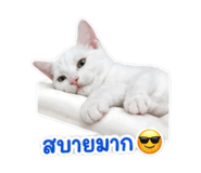 840297674