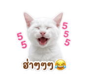 840297678
