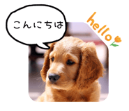840298123