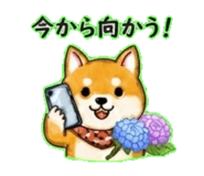 840299195