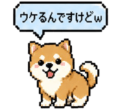 840299504