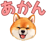 840300146
