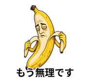 840300310