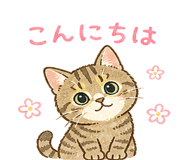 840300826