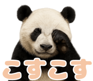 840301633
