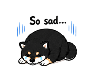 840302031