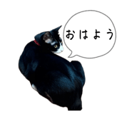 840302570