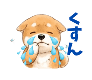 840303095