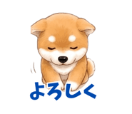 840303104