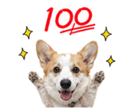 840303806